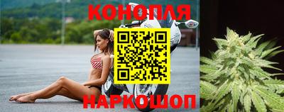 шишки Наро-Фоминск