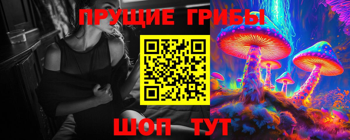 Псилоцибиновые грибы Psilocybe Тверь
