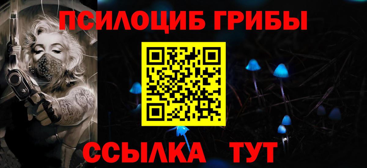 Галлюциногенные грибы прущие грибы  Вход с VPN  Тверь 
